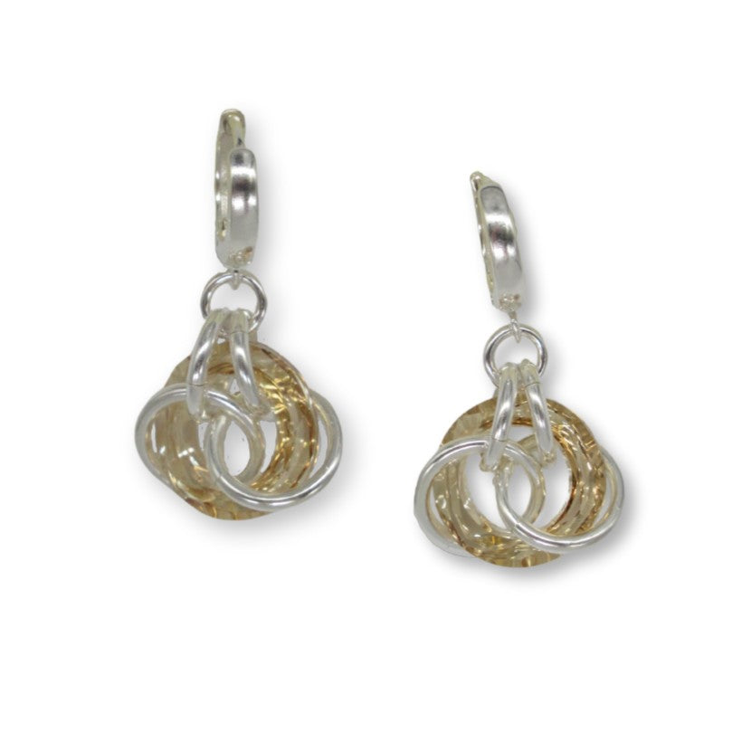 Wow Medium Earrings